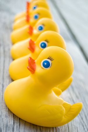 Yellow rubber ducks in a row.の写真素材
