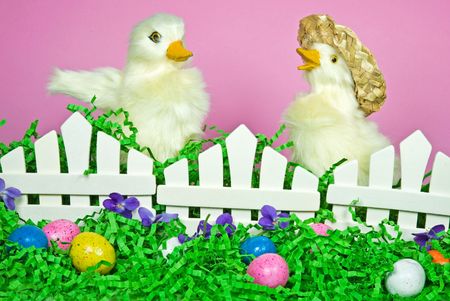 Ducklings with Easter eggs.の写真素材