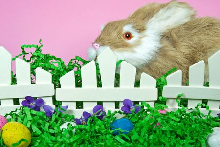 Bunny with Easter eggs.の写真素材