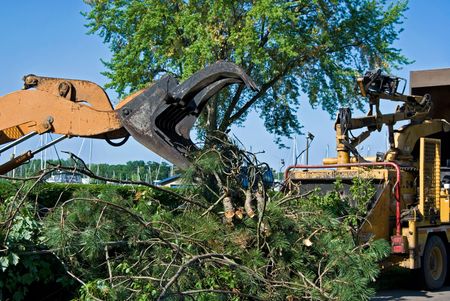 Heavy duty equipment used for tree removal.の写真素材
