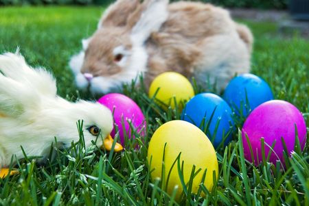 Duckling and bunny with dyed Easter eggs.