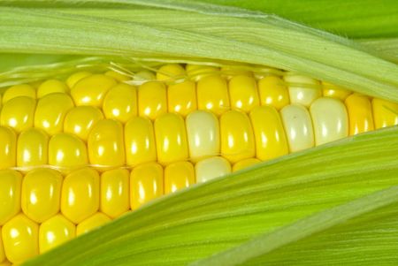 Extreme close up of sweet corn.の写真素材