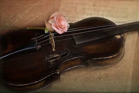 Single rose on vintage violin with textured effect.の写真素材