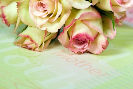 Rose bouquet for mother on pastel paper.の写真素材