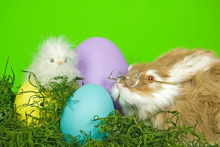Easter critters with dyed eggs.の写真素材