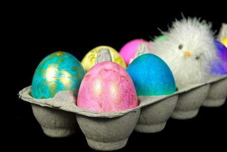 Baby chick with dyed Easter eggs in generic carton.の写真素材