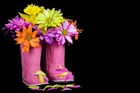 Colorful daisy bouquet in pink boots.の写真素材