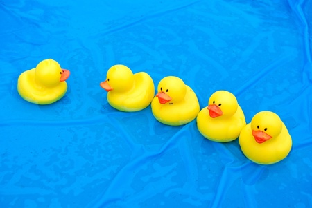 Bright yellow rubber ducks in wading pool.の写真素材