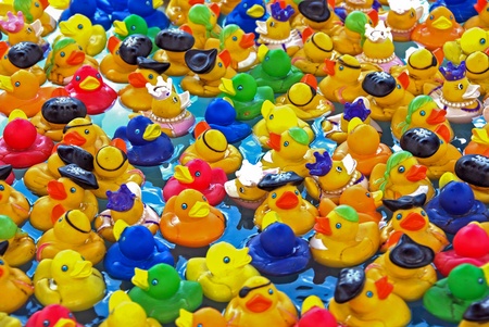 colorful rubber ducks in poolの写真素材