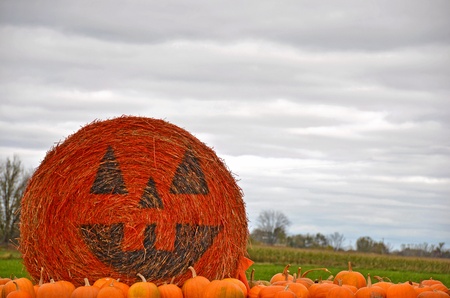 Painted face on hay bale with pumpkins.の写真素材