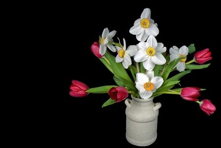 Daffodils and tulip bouquet in pot の写真素材