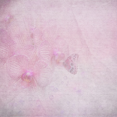 butterfly on orchid with pink texture overlayの写真素材