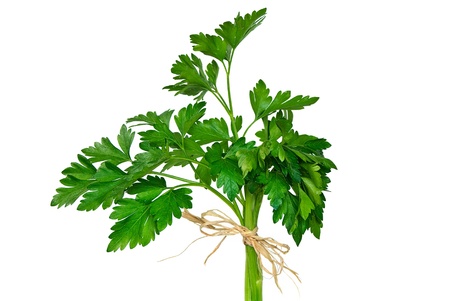 parsley bouquet with raffia bowの写真素材