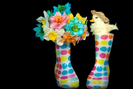 colorful daffoldils with duckling in bootsの写真素材