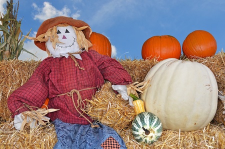 autumn scarecrow with pumpkins on hay balesの写真素材