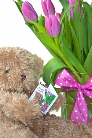 teddy bear reading a greeting cardの写真素材