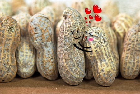 pair of peanuts huggingの写真素材