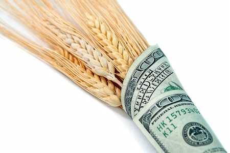 hundred dollar bill wrapped around wheat sheavesの写真素材