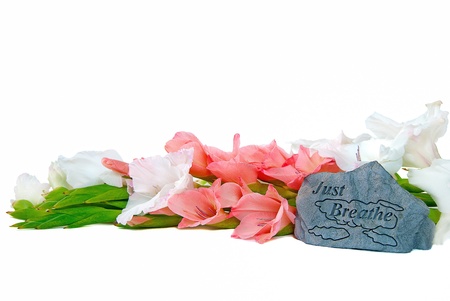 gladiolas with inspirational rock on white backgroundの写真素材