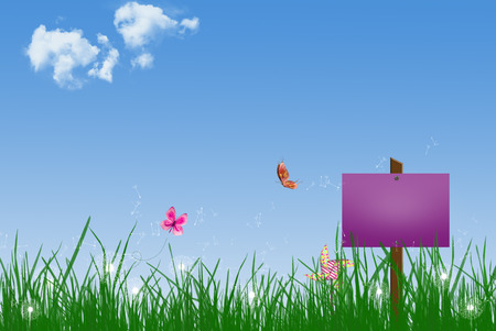 sign posted in grass with butterflies and dandelionsの写真素材