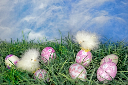 baby chicks with dyed Easter egg in grass