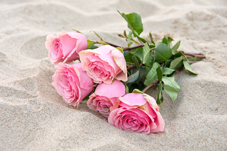 pink rose bouquet in beach sandの写真素材