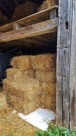hay bales in old barn with hayloft