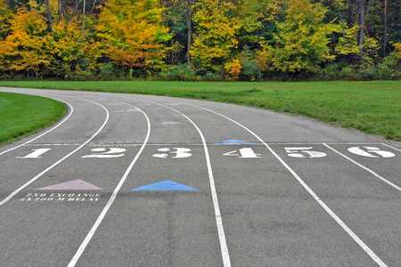 track and field venue in autumn woods