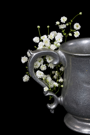 antique pewter pitcher with white baby's breath isolated on blackの写真素材