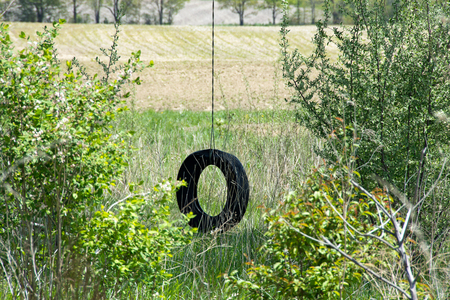 old tire swing with rural farmland backgroundの写真素材