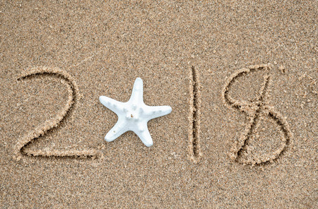 new year 2018 starfish in beach sand
