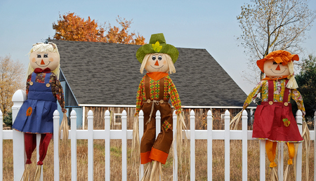 Autumn scarecrow dolls on white picket fence with rural barn backgroundの写真素材
