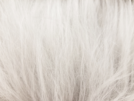 Close up of white synthetic fur textileの写真素材