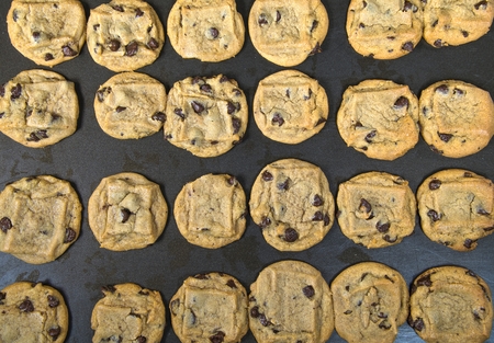 rows of homemade chocolate chip cookies on baking sheet