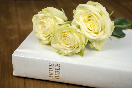 roses and white Holy Bible on dark woodの写真素材