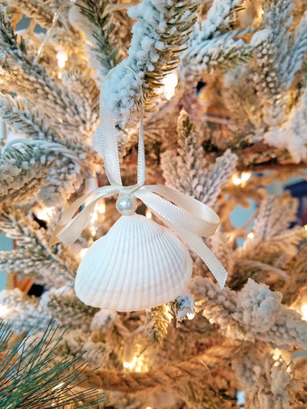 close up of seashell ornament with pearl and bow hanging on Christmas pine tree
