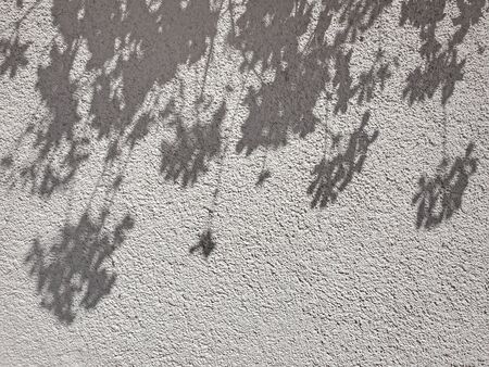 shadow leaf pattern on textured stucco wall