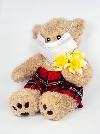 brown teddy bear with white sterile face mask and daffodil bouquetの写真素材