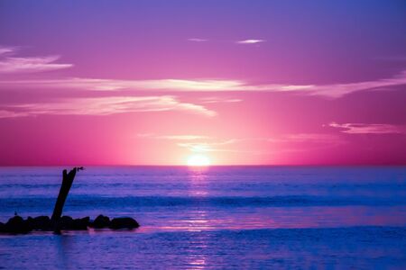 sunrise with purple and pink sky and water with driftwood log in rocksの写真素材