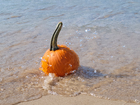 Orange autumn pumpkin in water splash on the beachの写真素材