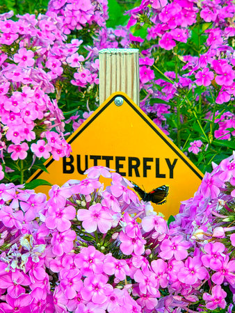 Vibrant pink phlox flowers surround a yellow butterfly sign, creating a lively garden scene with a...