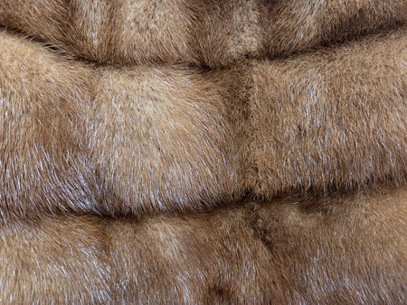 The close-up reveals the wide variety of shades and patterns in the brown mink fur, emphasizing its natural texture and softnessの写真素材