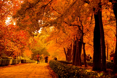 autumnal Street at Ming Xiaoling Mausoleumのeditorial素材