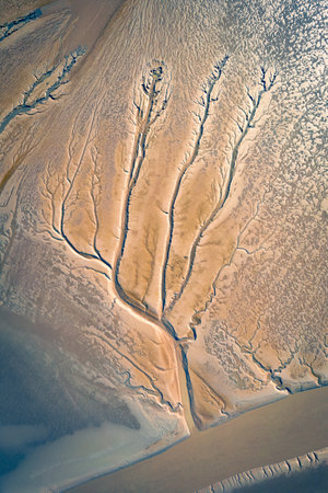 Tree-like textures on the tidal flats of the Yangtze River after low tide in Zhangjiagang, Jiangsu, Chinaの写真素材