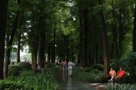 Tourists in Liuhua Lake Park are chatting on the lounge chair and walking.のeditorial素材