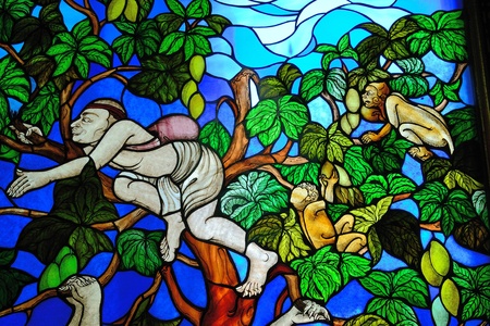 litratureの写真素材