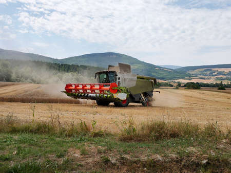 the harvester rides through the field with wheat against the background of the mountainsの写真素材