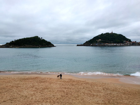 a man with a dog stands on a deserted beachの写真素材