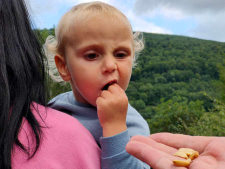 blond curly-haired child sits in mother's arms and eats nuts that dad gives him