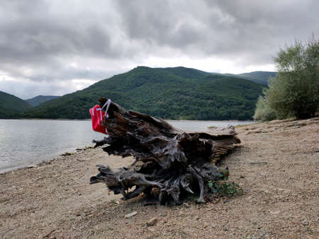red backpack weighs lonely on a large fallen tree by the lakeの写真素材
